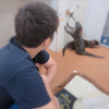 海大
