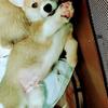 熊