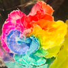 芋野郎