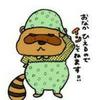 最弱のァポン助くん🦝💤