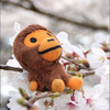 まーくん🐵🍬
