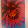 アヤカ