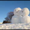 ユキ❄️