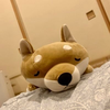 ゆうき