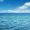 🌊My sea