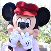 mickey🐭🌻🦋🐰💟
