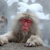 ささき