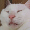 うや