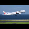 ✈️🧑‍✈️タイガ🌹👑