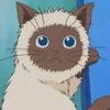 えむ