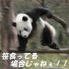 こうや