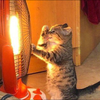 な。ちゃん