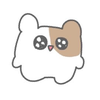 みゆぴ