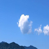 智鷹(ともたか