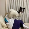 ユーザーアイコン