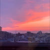 づけ