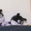 Y。