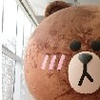 ブラウン🐻 