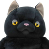 さくらねこ