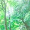☁ハ° ヒ° ホ°🌷