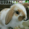 そら🐰❄