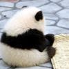 暇人