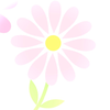 秋桜坂◢³⁶