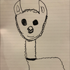 アルパコ兄