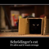 Erwin Schrödinger