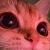 ゆうか