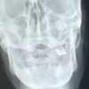 掘り炬燵BOT