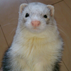 たかっち