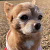 　まろ🌻🐶
