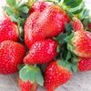 いちご🍓