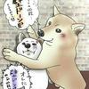 わん
