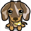 萌衣 🐶mei 