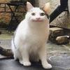 憑道 静
