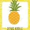 ( ᐛ👐)====🍍ﾊﾟｧｲﾅﾎﾟ-