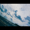 とっとこちゃむ助🐹💕💌🌙ちゃむ族