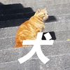 れべろふ