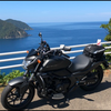 🏍 なおブゥ🐷 🌸🐰