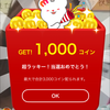 堅揚げ