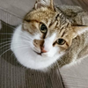フォトグラファーしんいち📸♨️