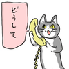 Mr. Cat