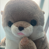 稲葉ハヤト