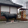 フドウ