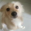 てっちゃん