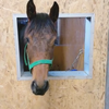 🐴👑たかひろ💝🐈‍⬛💖🐰🌈#ロン
