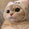 切り餅🥺