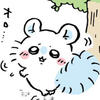 モちゃん